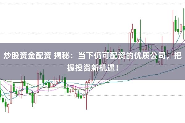 炒股资金配资 揭秘：当下仍可配资的优质公司，把握投资新机遇！