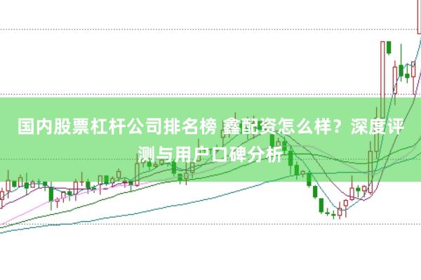 国内股票杠杆公司排名榜 鑫配资怎么样？深度评测与用户口碑分析
