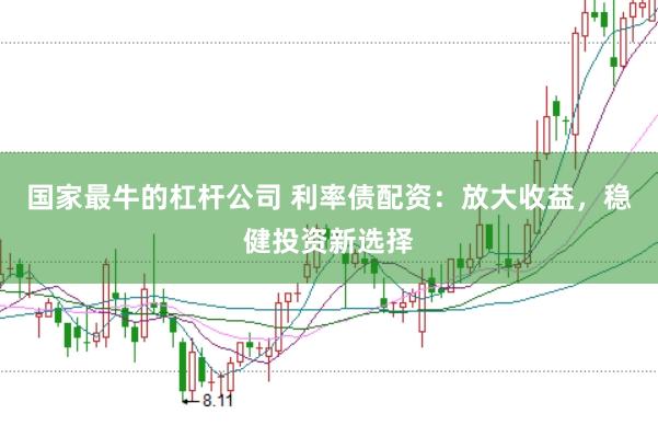 国家最牛的杠杆公司 利率债配资：放大收益，稳健投资新选择