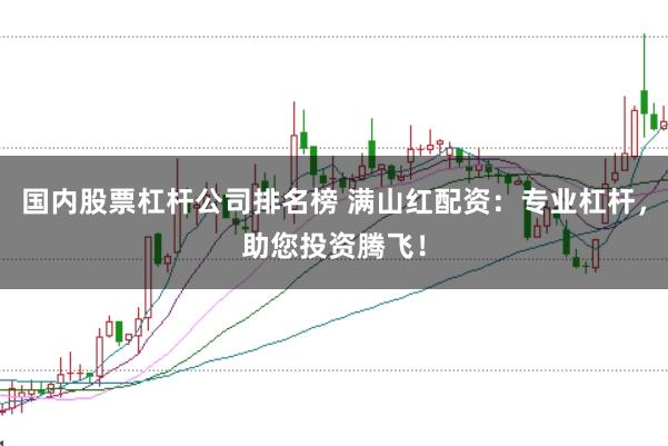 国内股票杠杆公司排名榜 满山红配资：专业杠杆，助您投资腾飞！
