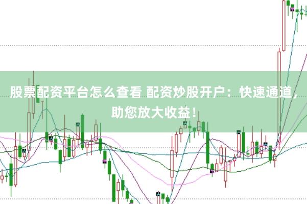 股票配资平台怎么查看 配资炒股开户：快速通道，助您放大收益！